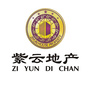 紫云地产ico