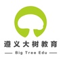 遵义大树教育ico
