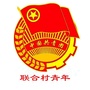 联合村青年像素计划ico