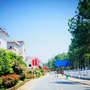 吉安县指阳乡人民政府ico