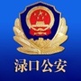 株洲渌口公安ico