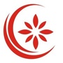 中州养老ico