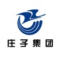 庄子集团公众号ico