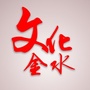 文化金水ico