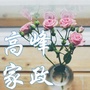 湖南高峰家政ico