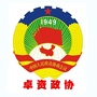 卓资政协ico