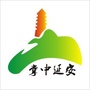 掌中延安ico