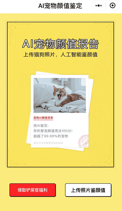 AI宠物颜值测试截图1