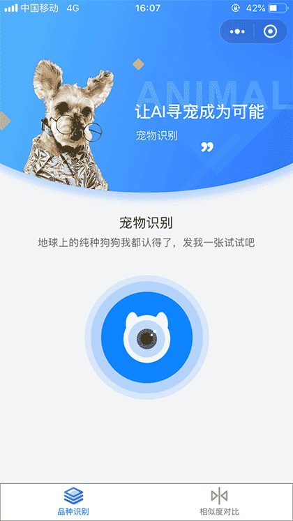 AI识宠截图1