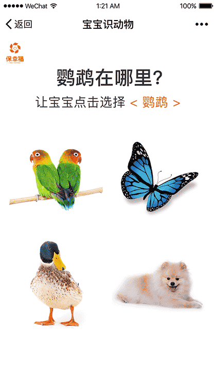 宝宝识动物益智早教识图认知大全截图2