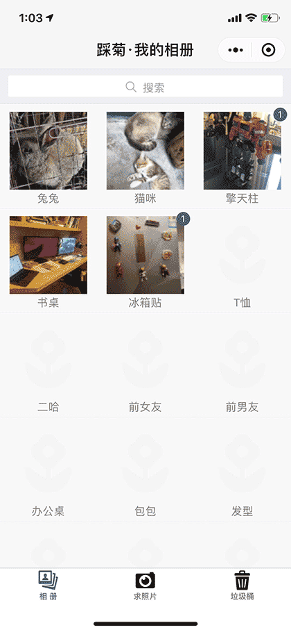 踩菊截图1