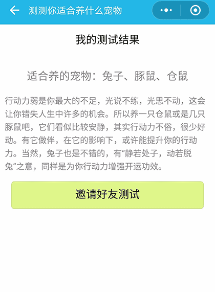 测测你适合养什么宠物截图2