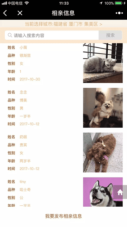 铲屎网截图1