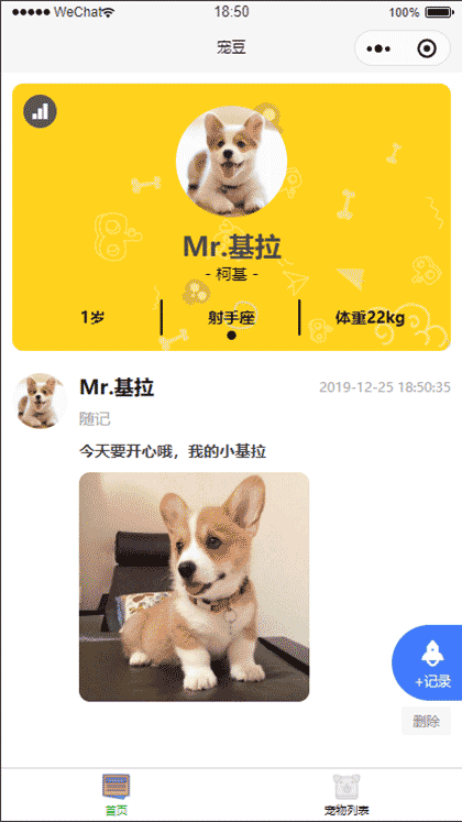 宠豆截图1