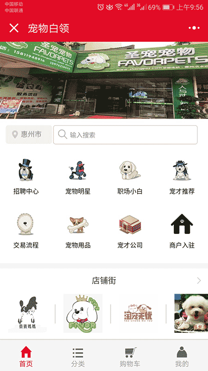 宠物白领截图2