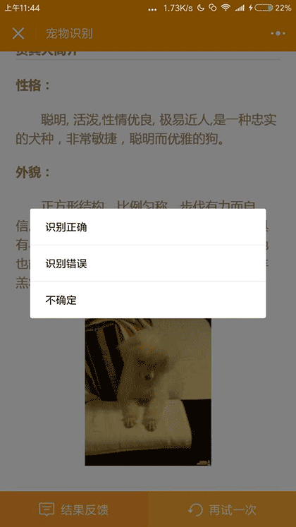 宠物识别截图1