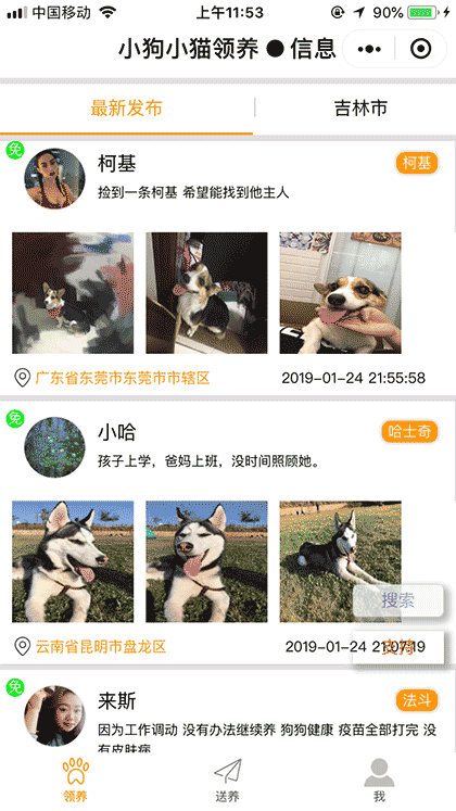 宠物领养送养截图1