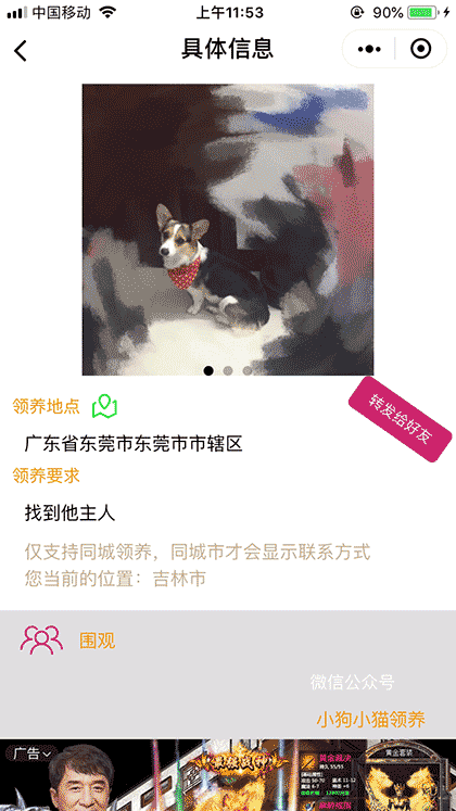 宠物领养送养截图3