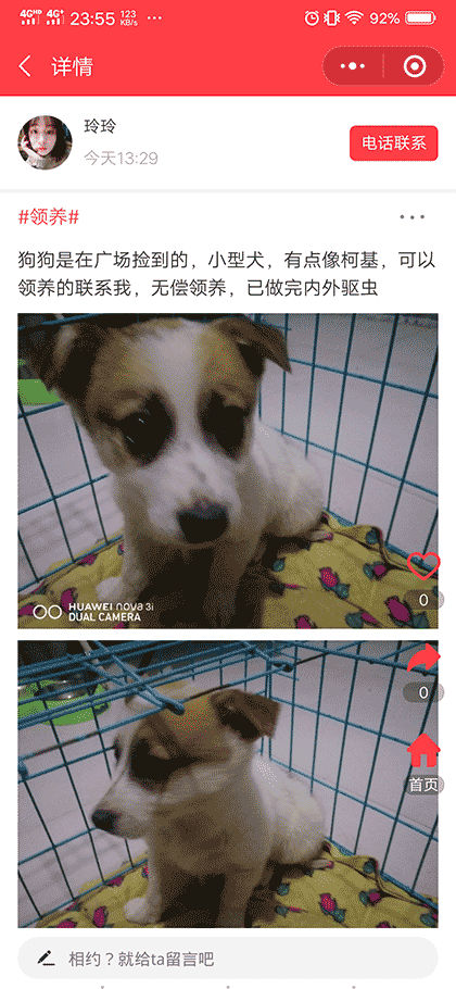 宠物领养送养平台截图2