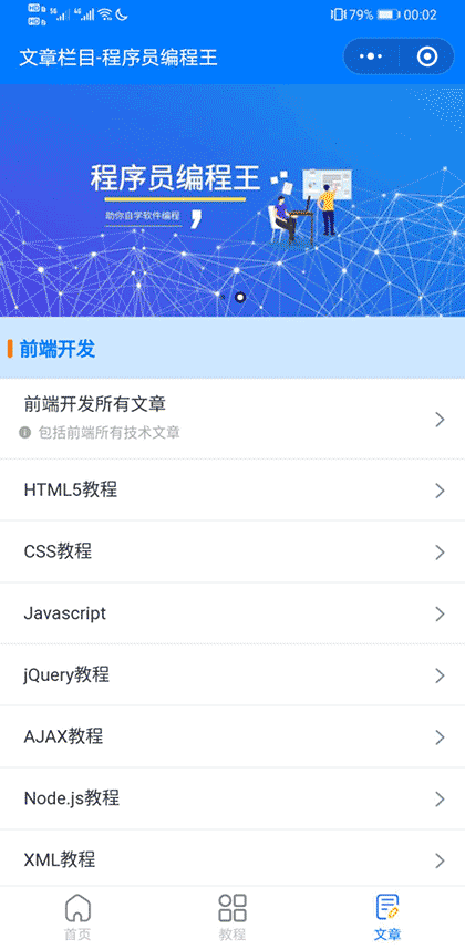 程序员编程王截图2