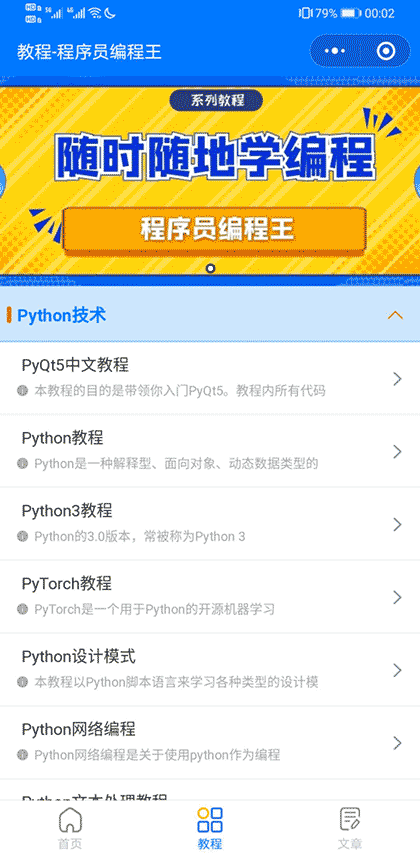 程序员编程王截图3