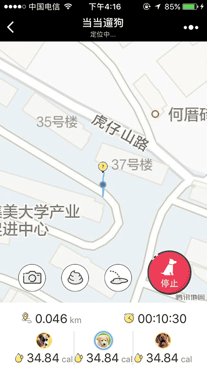 当当遛狗截图1