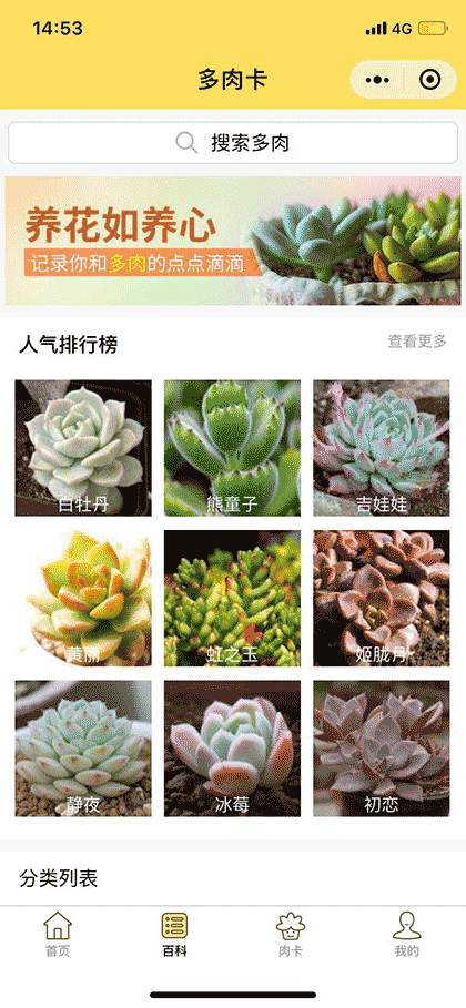 多肉卡RouCard截图1