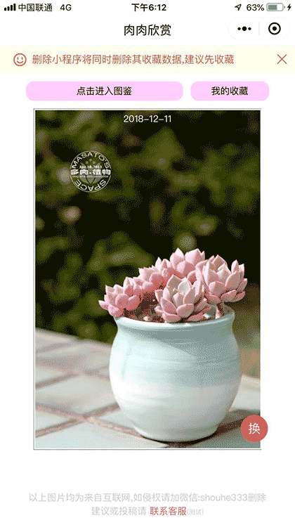 多肉种植手册截图1