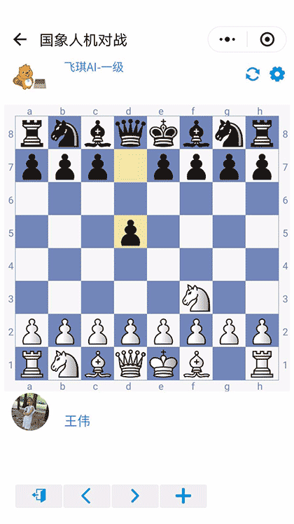 飞琪国际象棋截图1