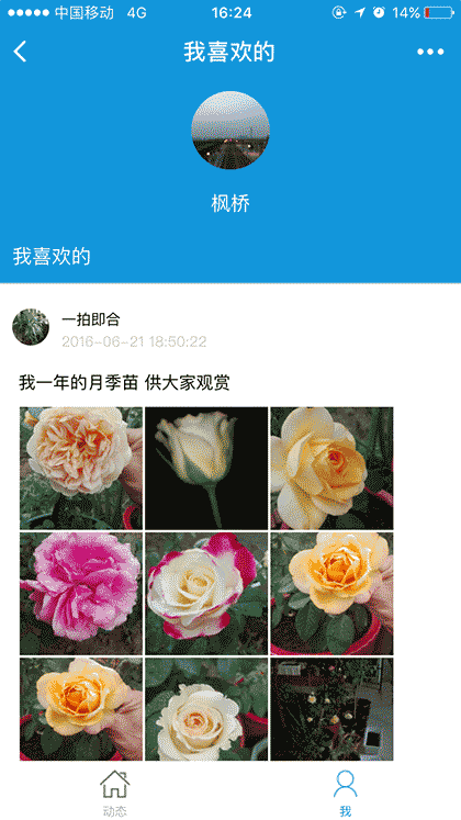 枫桥居花卉截图1