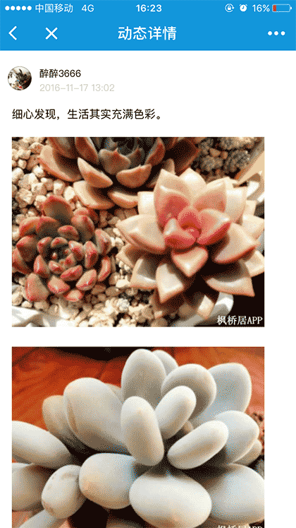 枫桥居花卉截图3