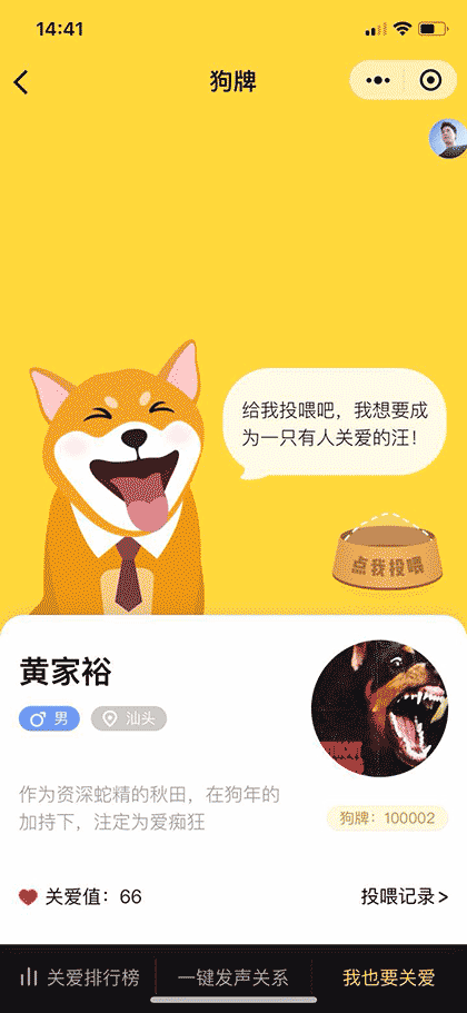 狗牌DogeCard截图1