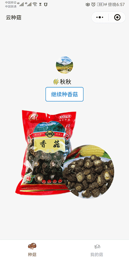 菇食汇截图1