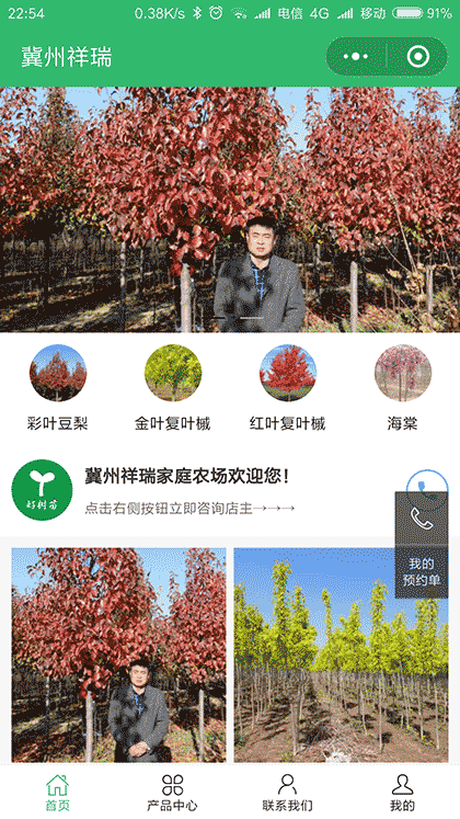 好树苗截图1