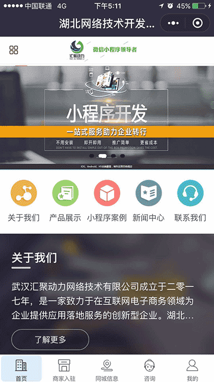 湖北网络技术开发服务商截图1