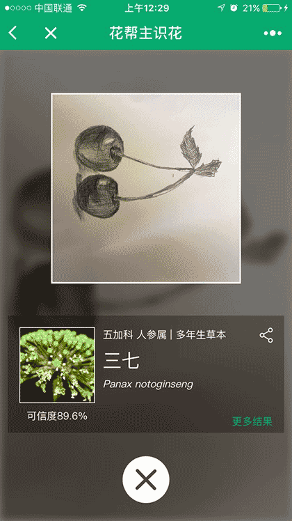 花帮主识花截图3