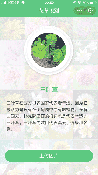 花草识别截图1