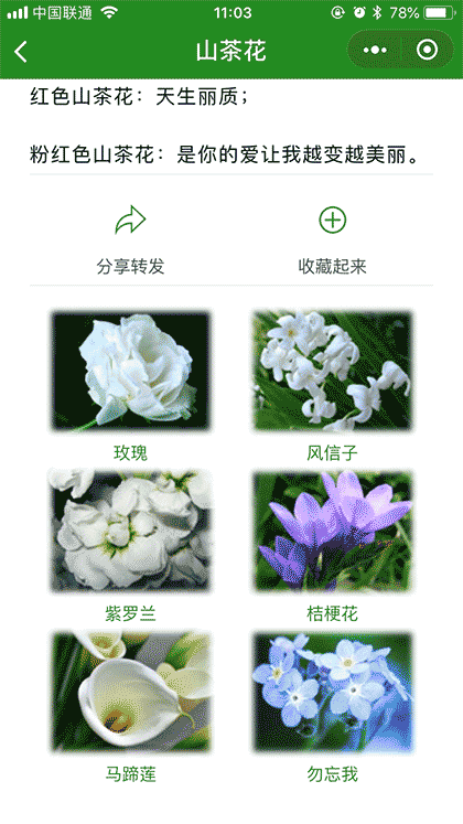 花语大全集截图3