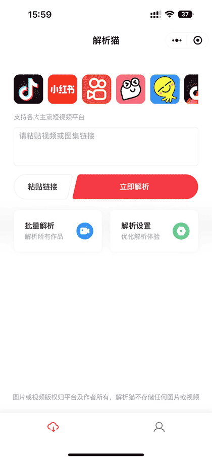 解析猫截图1