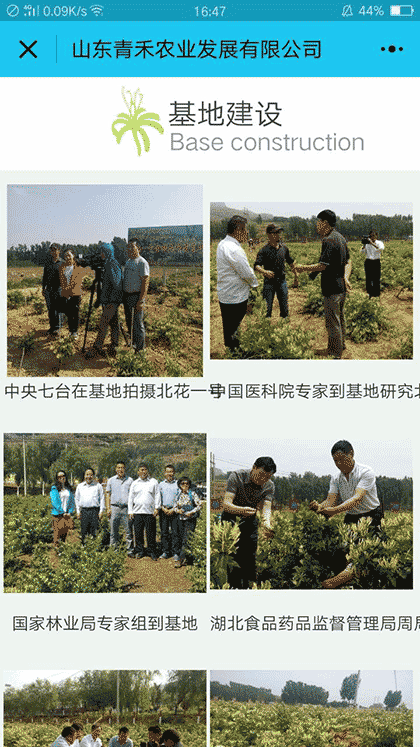 金银花种植技术截图2