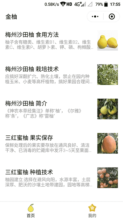 金柚截图1