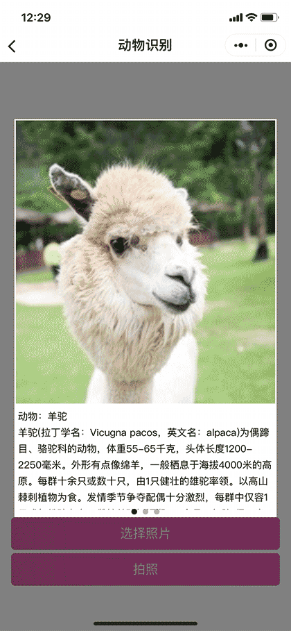 卡路里相机截图3