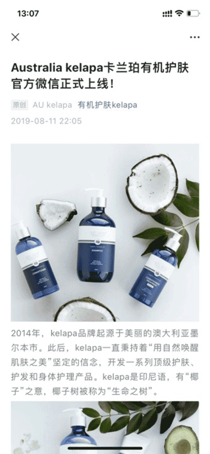 Kelapa柯莱珀截图1