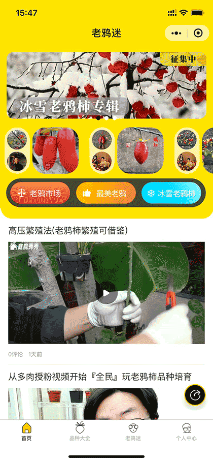 老鸦迷截图1
