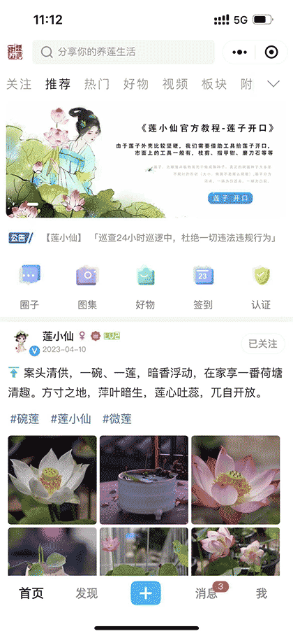 莲小仙截图1