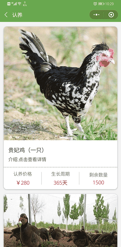 绿友智慧林场截图3