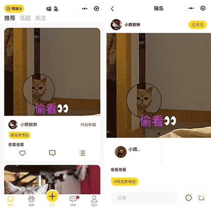 猫岛Lite截图1