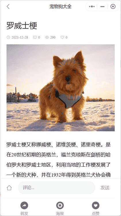 猫猫狗狗用品截图1