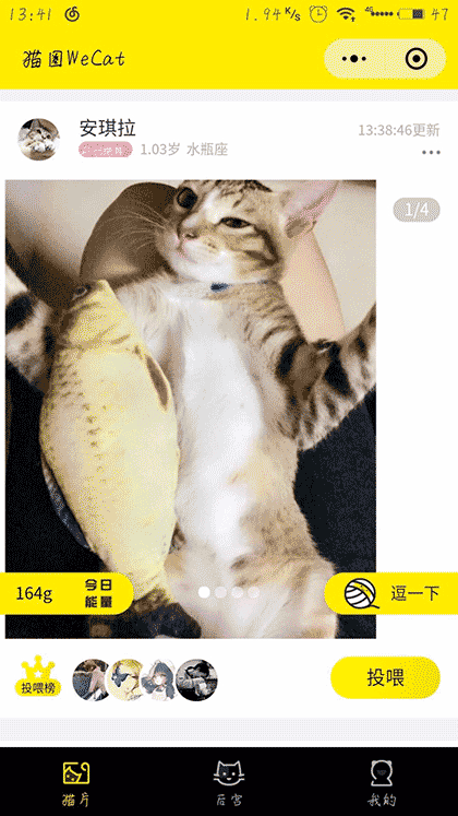 猫圈WeCat截图2