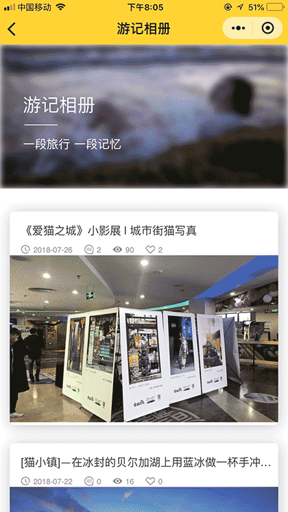 猫小镇Live截图1